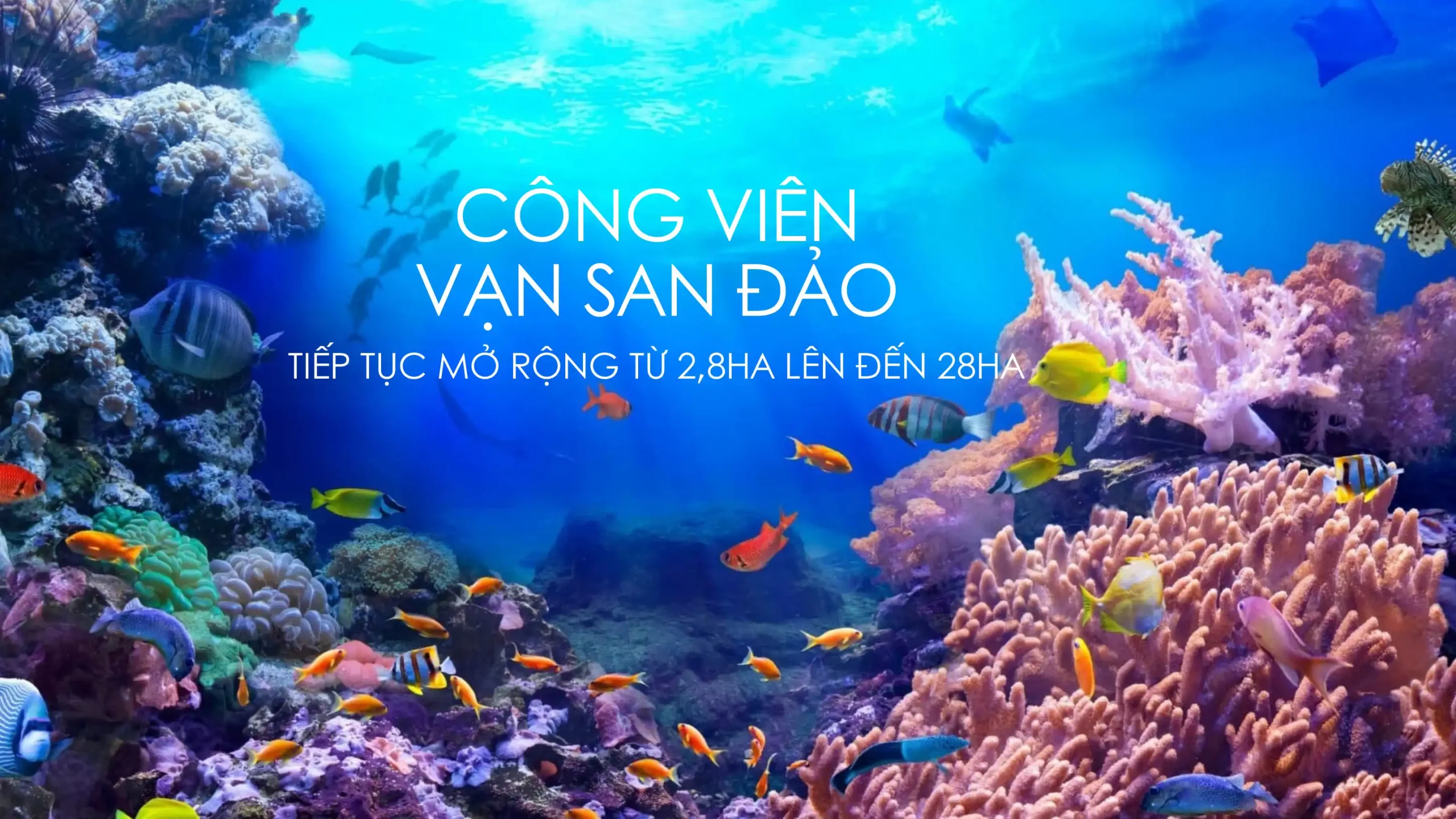 Phối cảnh khu biệt thự nghỉ dưỡng cao cấp La Tiên Villa Nha Trang - Đông Hoà Group